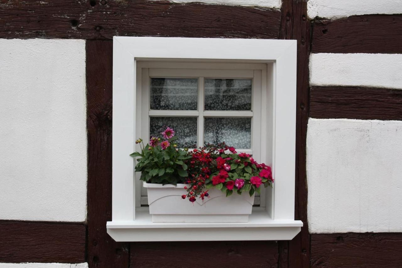 Gemütliche Fachwerkwohnung Alfter Exterior foto